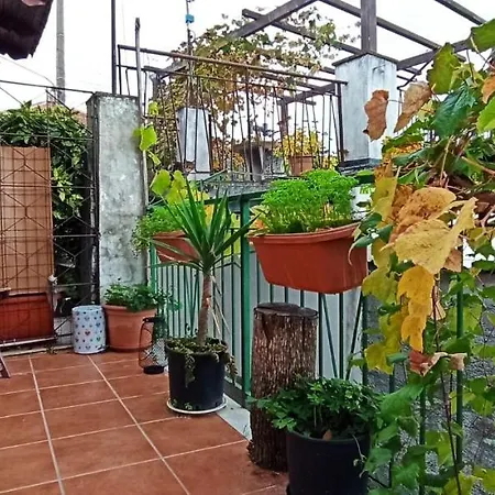 Cip&ciop House דירה Bargagli
